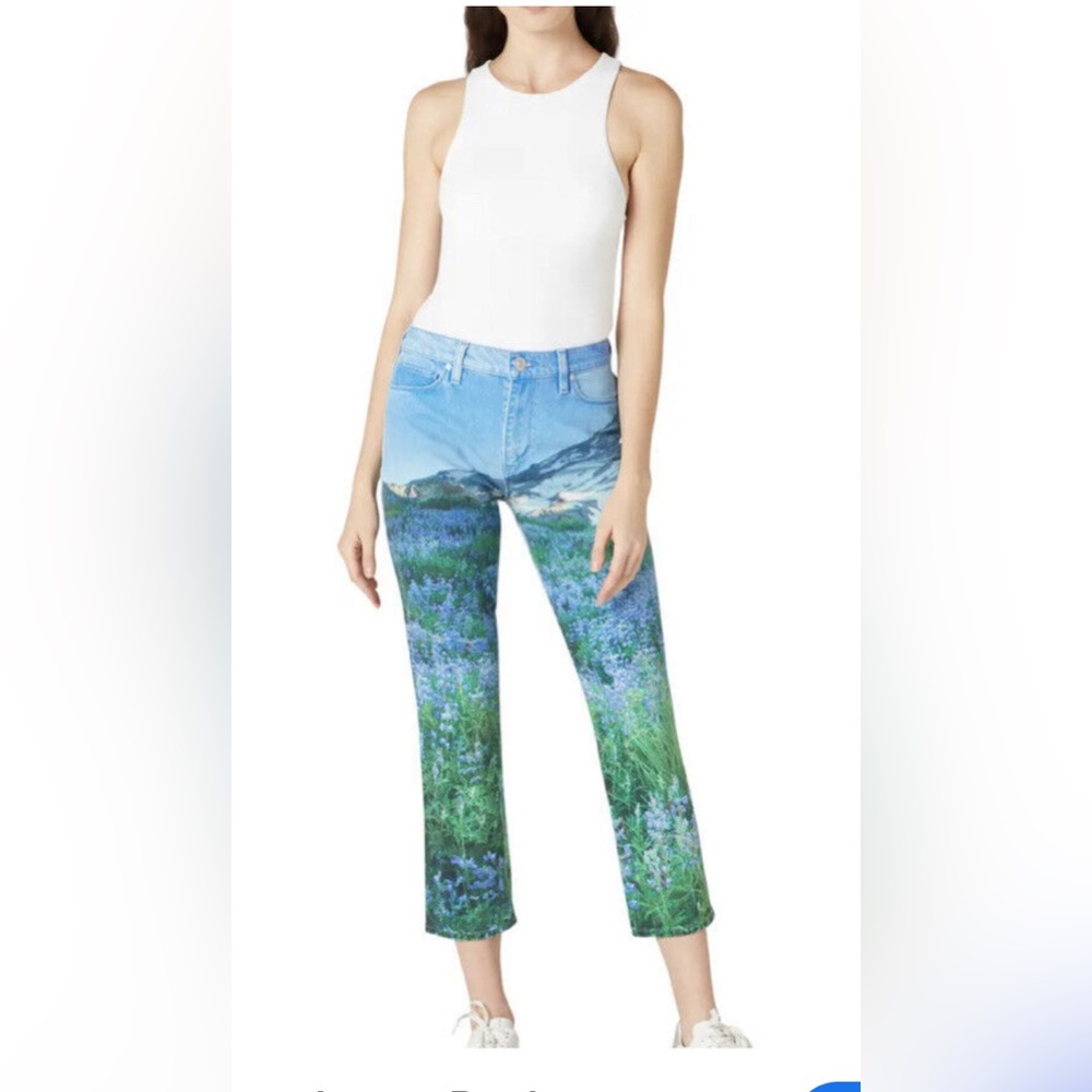 Hudson Jeans High-Rise Crop Straight Jeans 28 Mountain Flowers